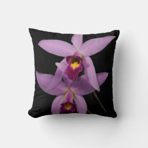 Almofada Laelia Anceps