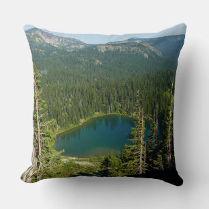 Almofada Lago Sunrise, de Acima, no Monte Rainier Park