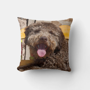 Almofada Lagotto Romagnolo Deitado Em Uma Bancada De Madeir