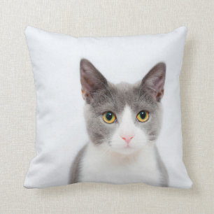 Almofada Lance cinzento e branco do gato do smoking