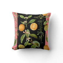 Laranjas e Limões Vintage com Destaque Rosa