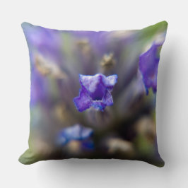 Almofada Lavanda doce