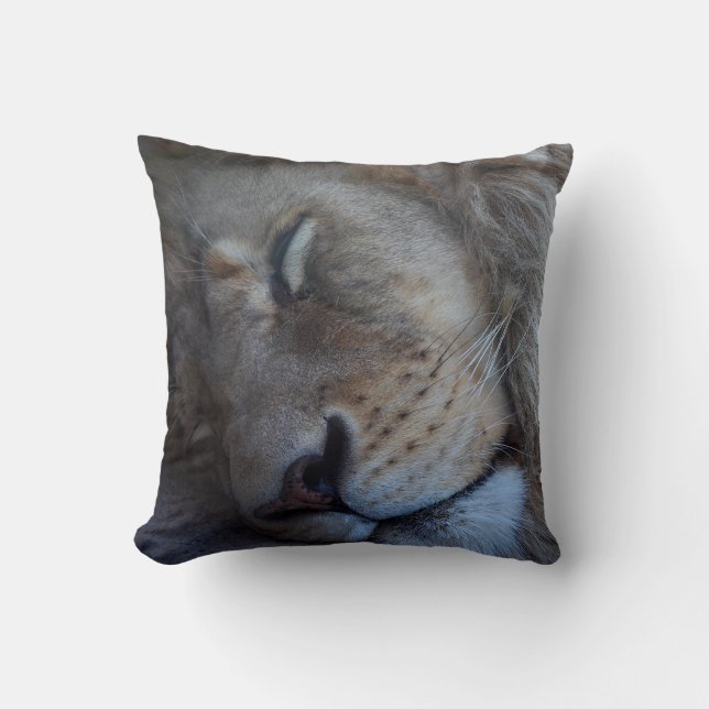 Almofada Leão Macho Dormindo (Frente)