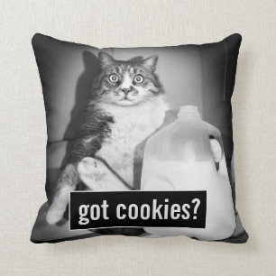 Almofada Leite De Bebendo De Gato De Jug