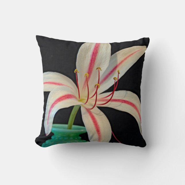 Almofada Leite Vinho Lily (Frente)