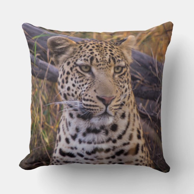 Almofada Leopardo sentado, Botsuana, África (Frente)