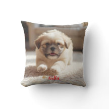 Lhasa Apso para Reprodução Personalizada