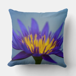 Almofada Lily de água púrpura