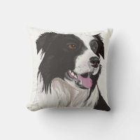 Linda Collie Preta e Branca com olhos castanhos