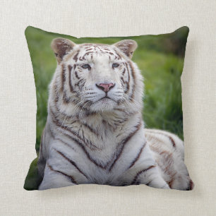Almofada Linda Foto do Tigre Branco