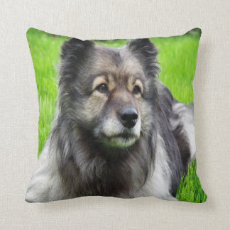 Almofada Linda Keeshond