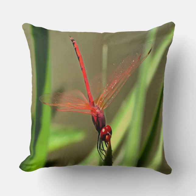 Almofada Linda pintura acrílica do Firecracker Dragonfly (Frente)