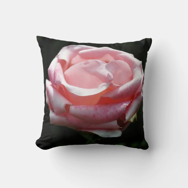 Almofada Linda rosa Rosa Rosa Fechada (Frente)