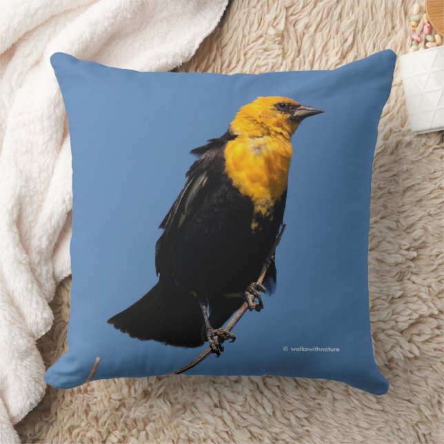 Almofada Lindo Conquistador-de-Cabeça-Amarela num Dia Vento (Cobertor)