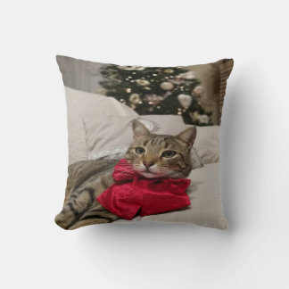 Almofada Lindo Gato de Natal