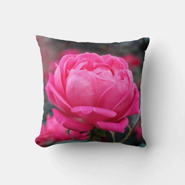 Almofada Lindo Travesseiro de Flor de Rosa Rosa (Frente)