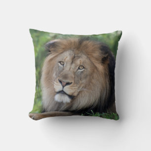Almofada Lion Lounging em uma Floresta