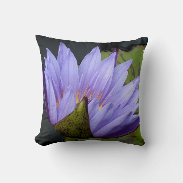 Almofada Lírio de água da lavanda (Frente)