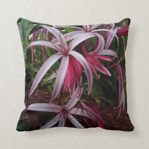 Almofada Lírio roxo de Crinum da rainha Emma