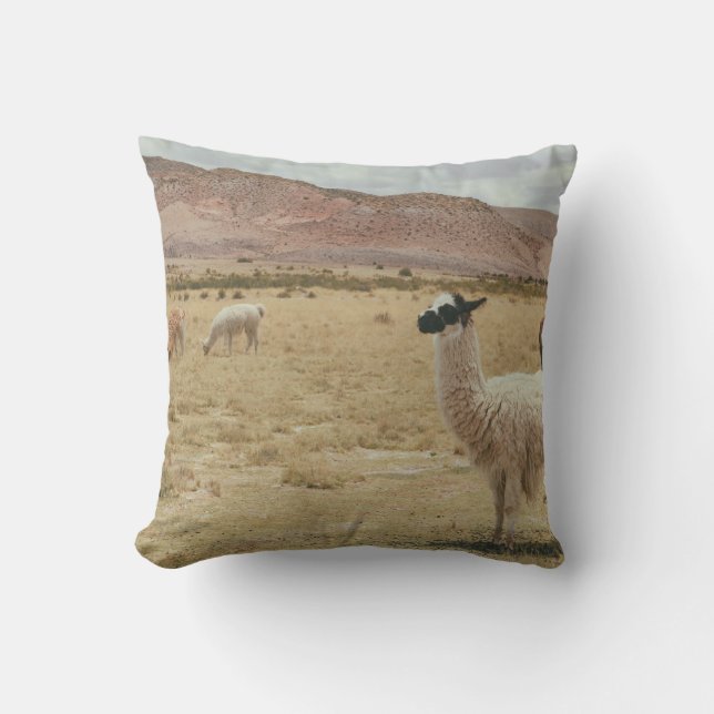 ALMOFADA LLAMA BRANCO NA GRAMA MARCADA (Frente)