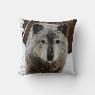 Almofada Lobo cinza na neve