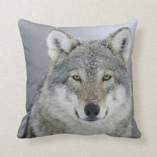 Almofada Lobo cinzento