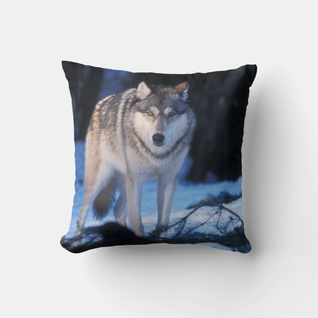 Almofada lobo cinzento, Canis lupus, nos contrafortes (Frente)