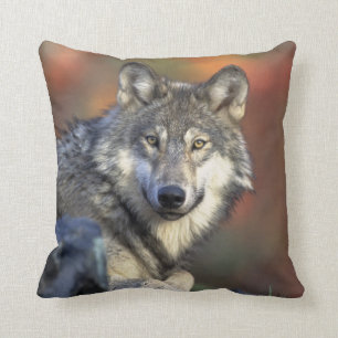 Almofada lobo selvagem