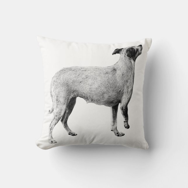 Almofada Loft Calm — Amigo Errado (Frente)