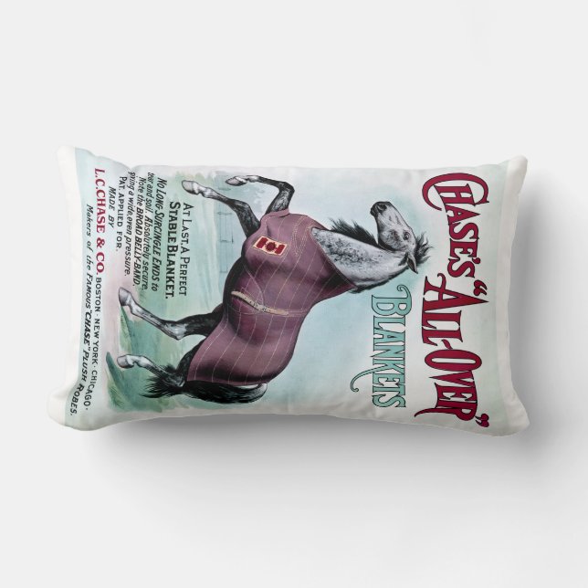 Almofada Lombar 19ºC. Cobertores de Cavalo de Chase (Frente)