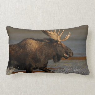 Almofada Lombar Alces de Bull
