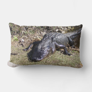 Almofada Lombar Alligador Black Everglade a olhar para ti