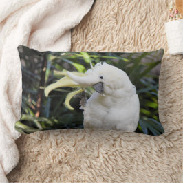 Almofada Lombar Alô - Ondas de Cockatoo Detidas Amigáveis Com Enxo