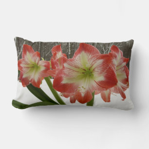 Almofada Lombar Amaryllis no Feriado Vermelho de Neve Floral de in
