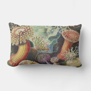 Almofada Lombar Anêmonas-do-mar, Actiniae Seeanemonen Ernst Haecke