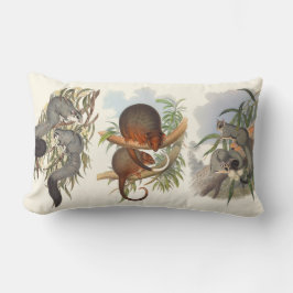 Almofada Lombar Animais Da Austrália Os Três Cushions Possíveis