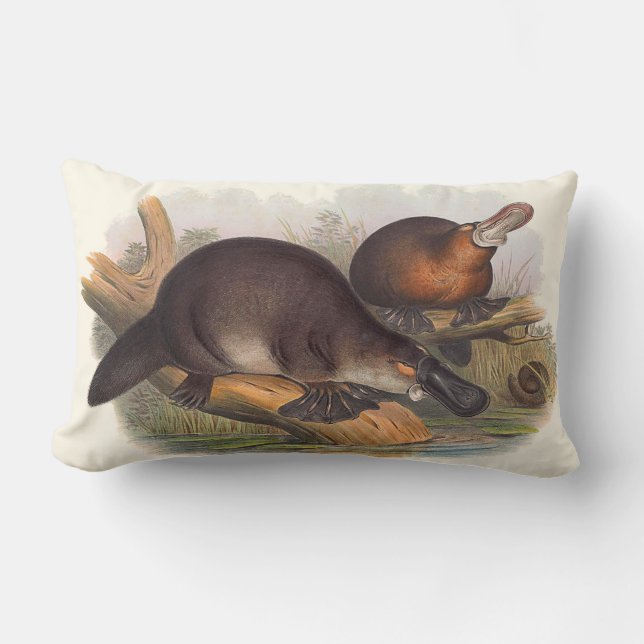 Almofada Lombar Animais de coxins de Austrália (Frente)