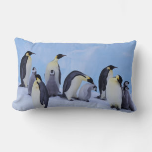 Almofada Lombar Antártida, Pinguins Imperadores