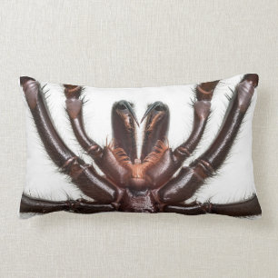 Almofada Lombar Aranha da Funil-Web de Sydney