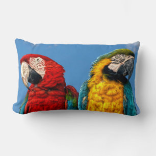 Almofada Lombar Arara azul e amarela e arara-escarlate