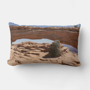 Almofada Lombar Arco da Mesa e Tumbleweed em Canyonlands