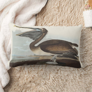 Almofada Lombar Arte de Ave Costeira Vintage Audubon Pelicano Marr