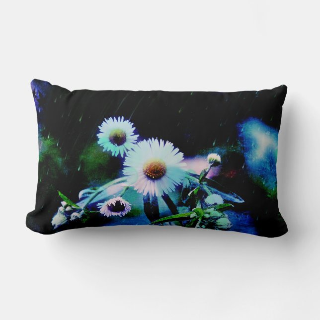 Almofada Lombar Asters Aglow Travesseiro decorativo (Frente)