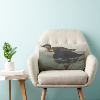 Almofada Lombar Audubon American Scoter Duck Bird Painting