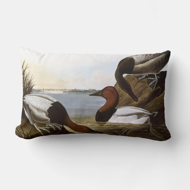 Almofada Lombar Audubon: Canvasback (Frente)