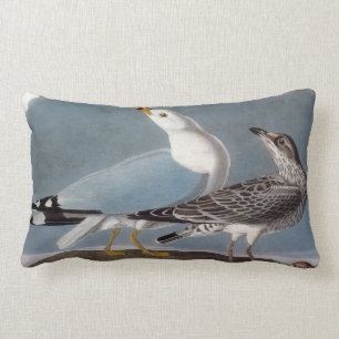 Almofada Lombar Audubon: Gaivota Anel-Faturada