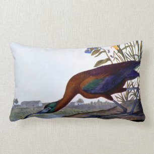 Almofada Lombar Audubon: Íbis lustrosos