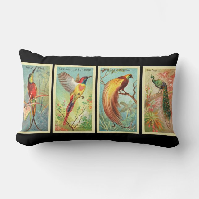 Almofada Lombar Aves Vintage 2 (Frente)