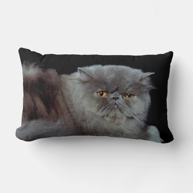 Almofada Lombar Azul Persa (Frente)