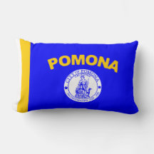 Bandeira de Pomona (Califórnia)
